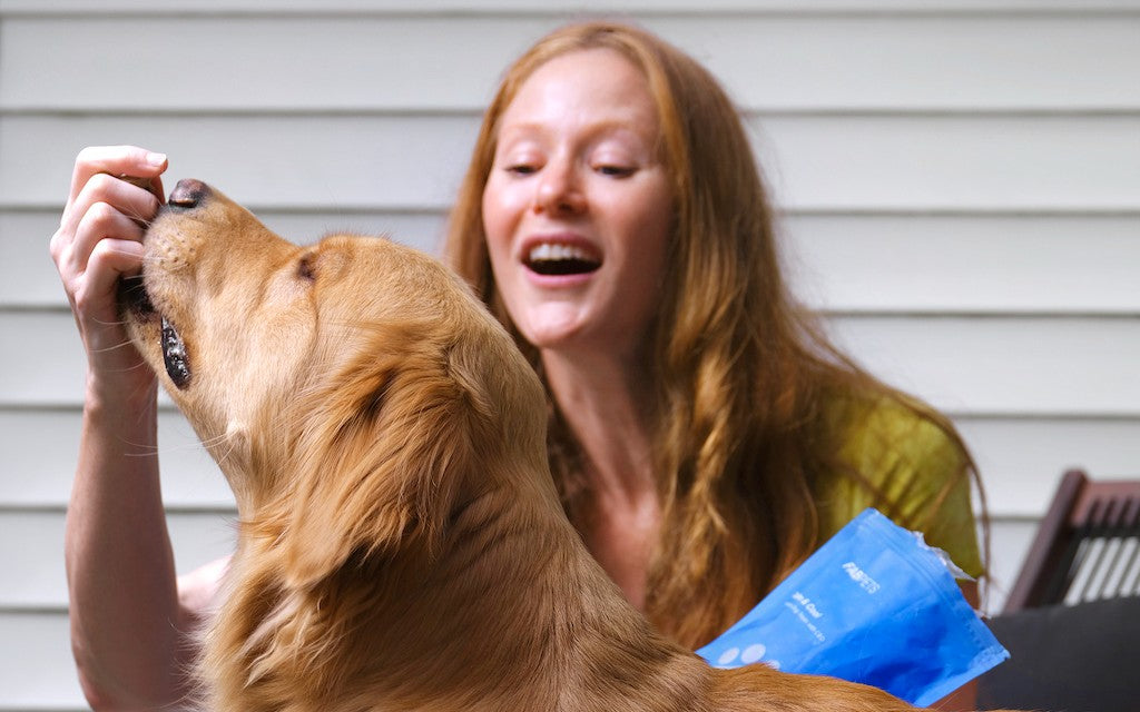 What Are the Finest Pet Supplements to Buy for Your Dog?